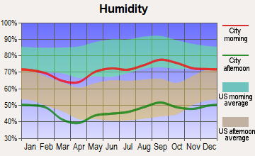 Eunice, New Mexico humidity