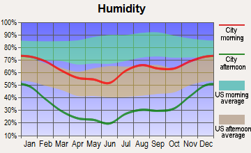 Burnham, New Mexico humidity
