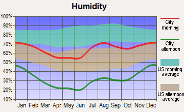 South Rio Arriba, New Mexico humidity