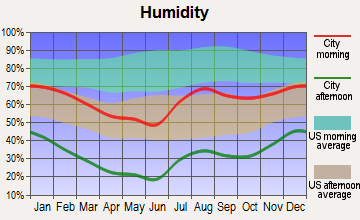 Zuni, New Mexico humidity