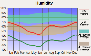 Zuni Pueblo, New Mexico humidity
