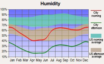 Truth or Consequences, New Mexico humidity
