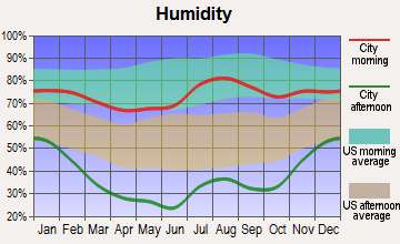 Taos, New Mexico humidity
