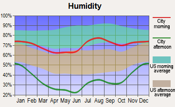 Rio Lucio, New Mexico humidity