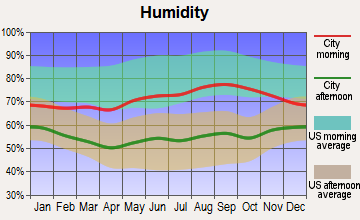 New City, New York humidity