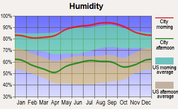 Bryson City, North Carolina humidity