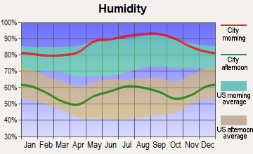 Lansing, North Carolina humidity