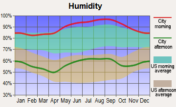 Maggie Valley, North Carolina humidity