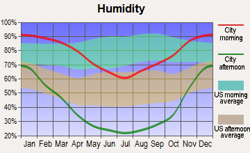 Dinuba, California humidity