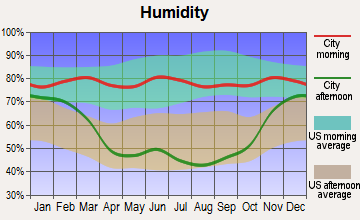Ray, North Dakota humidity