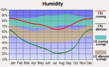 Fall River Mills, California humidity