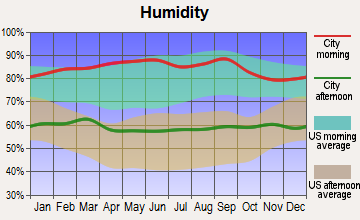 Goleta, California humidity