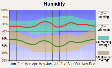 Mangum, Oklahoma humidity