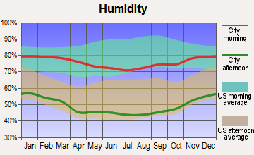 Lake Los Angeles, California humidity