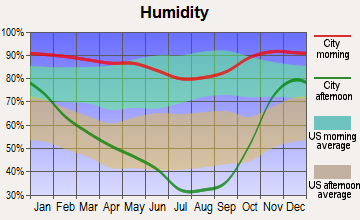Myrtle Point, Oregon humidity