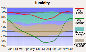 Myrtle Creek, Oregon humidity