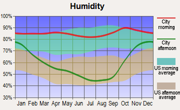 Metzger, Oregon humidity