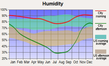 Tenmile, Oregon humidity