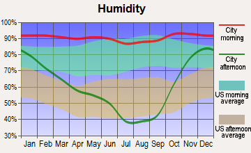 Badger Mountain, Oregon humidity