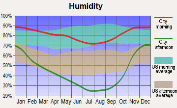 Lewiston, California humidity