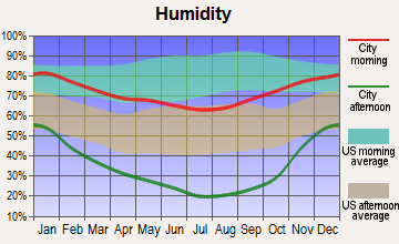 Mineral, California humidity
