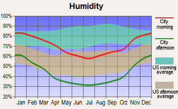 Mojave, California humidity