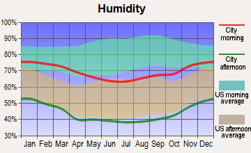 Nebo Center, California humidity