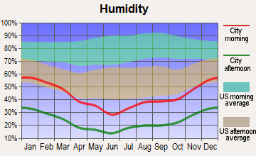 Needles, California humidity
