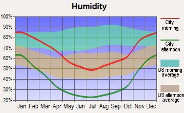Oildale, California humidity