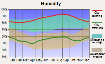 Fork, South Carolina humidity