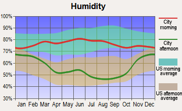 White River, South Dakota humidity