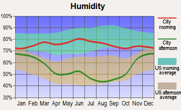 Bison, South Dakota humidity