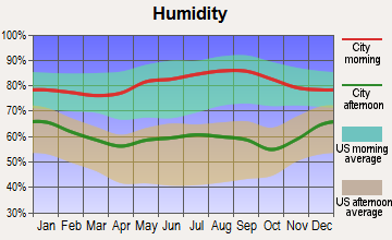 Holly Grove-Belle Eagle, Tennessee humidity