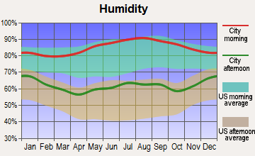 Belleview, Tennessee humidity