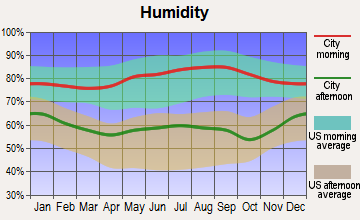 Memphis, Tennessee humidity