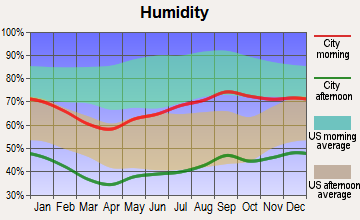 Balmorhea, Texas humidity