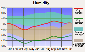 Barstow, Texas humidity