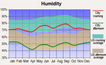 Canyon, Texas humidity