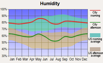 Carrollton, Texas humidity