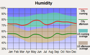 Coleman, Texas humidity