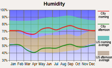 Farwell, Texas humidity