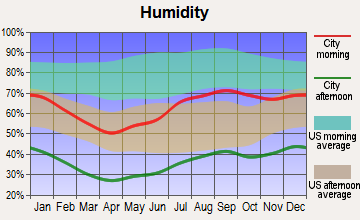 Fort Davis, Texas humidity