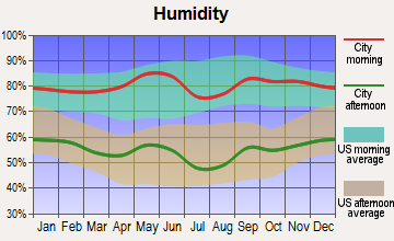 Holliday, Texas humidity