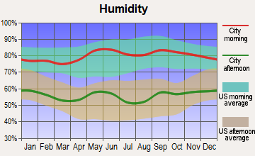 Junction, Texas humidity