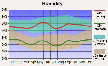 Knox City, Texas humidity