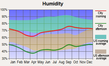 Marathon, Texas humidity