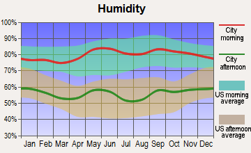 Mason, Texas humidity