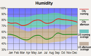 Miles, Texas humidity