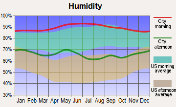 Morgan Farm Area, Texas humidity
