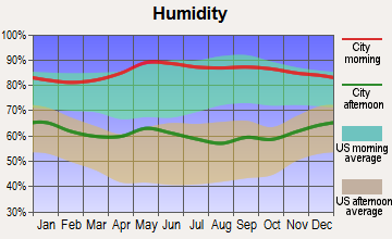 New Chapel Hill, Texas humidity